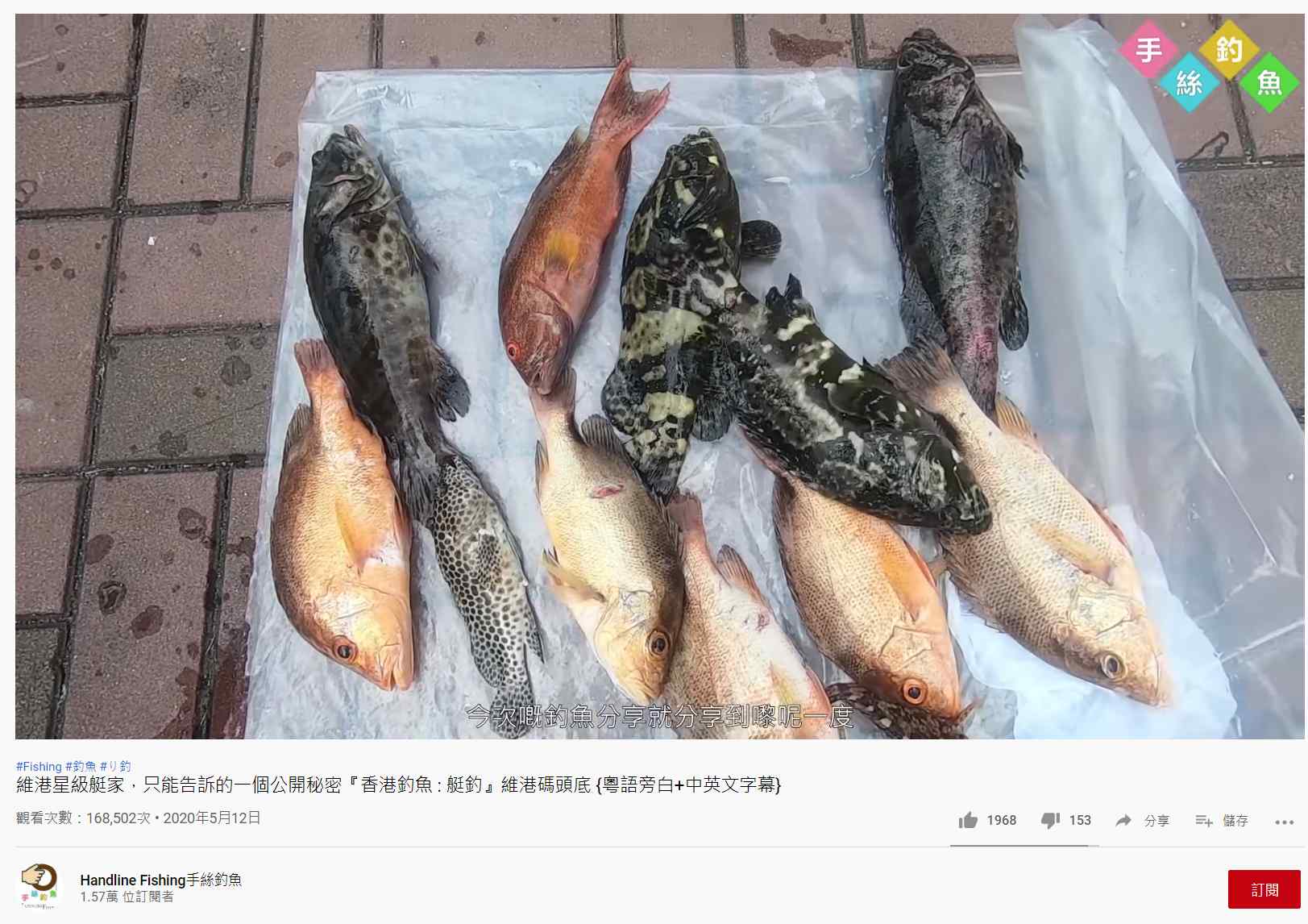 想問香港釣魚好地方(最好近葵涌) - 興趣百科- 電腦領域HKEPC Hardware - 全港No.1 PC討論區